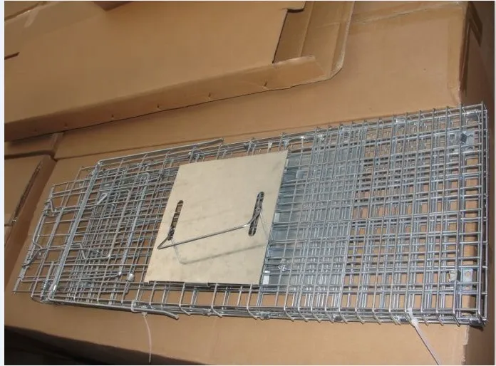Folded Humane Large Live Animal Cage Traps Possum Trap