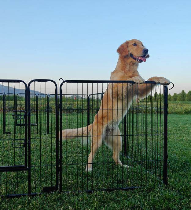 double wide chain link fence gate