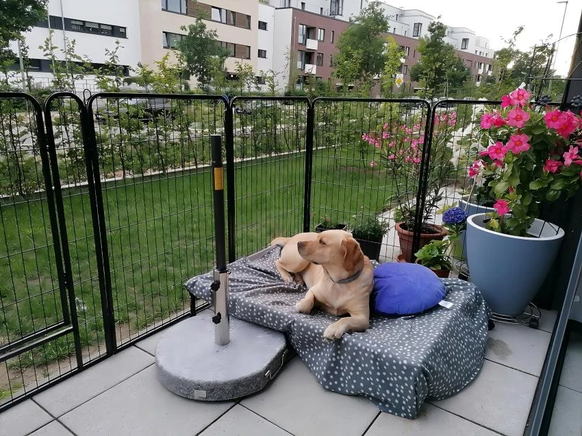 wire garden gate