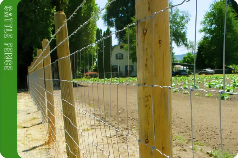 Read More About field fence for sale