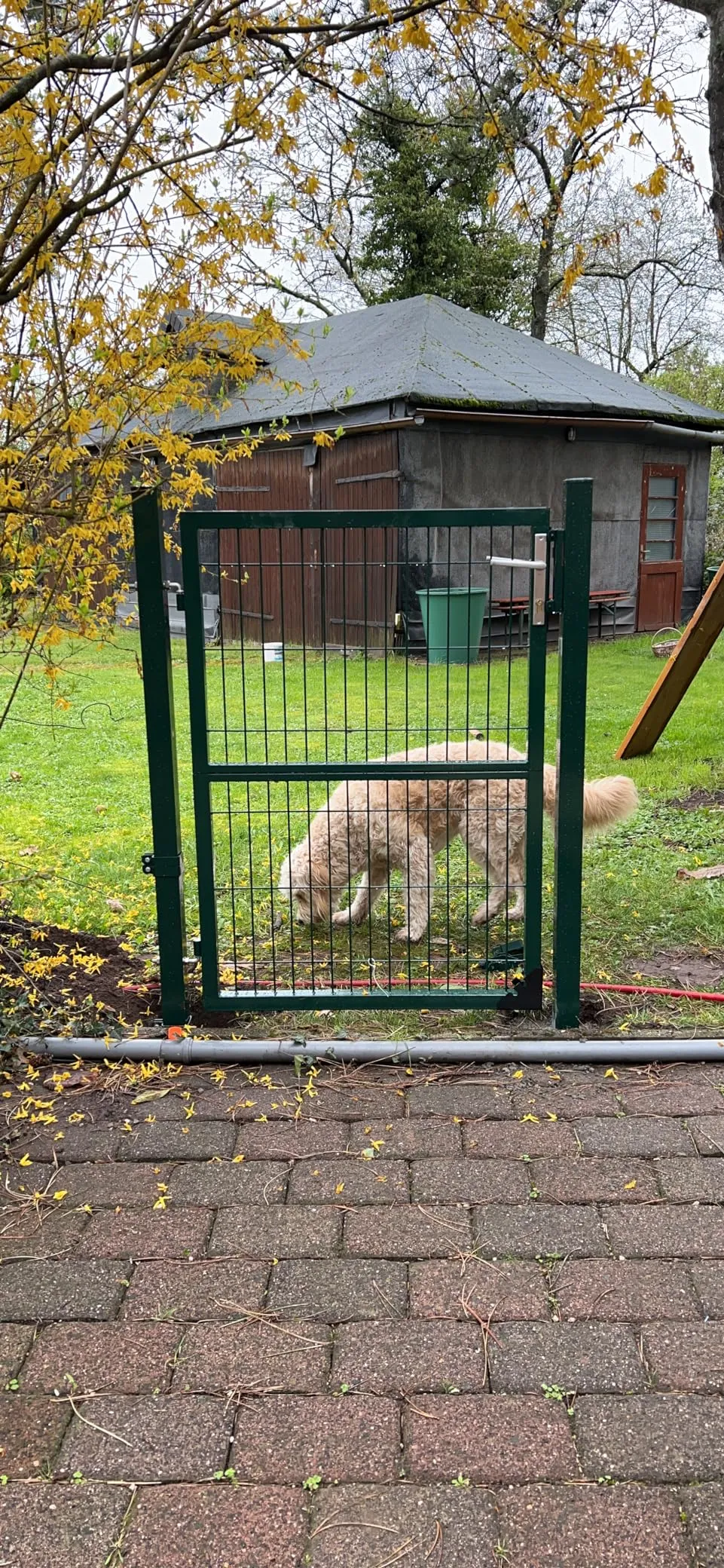 anthracite grey garden gate