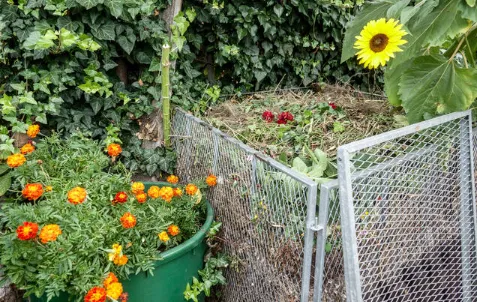 garden barrier