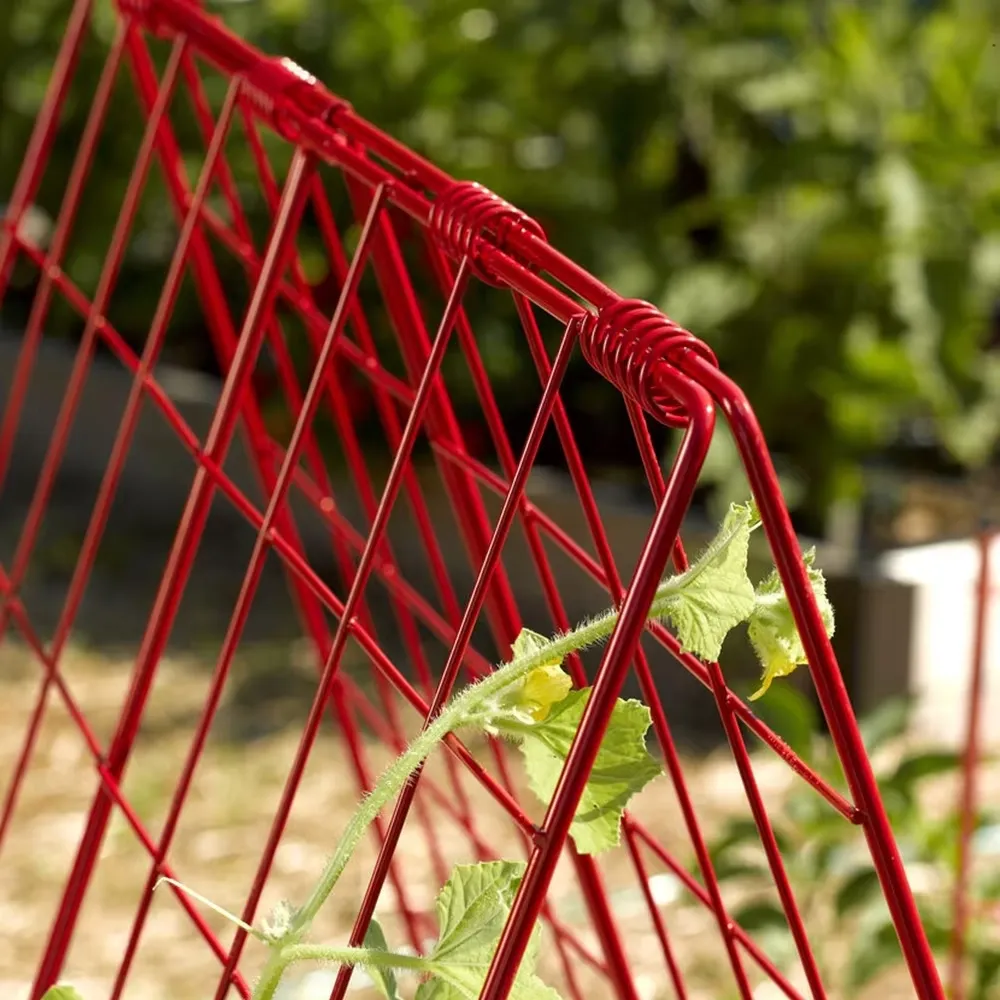 Read More About vegetable support fence
