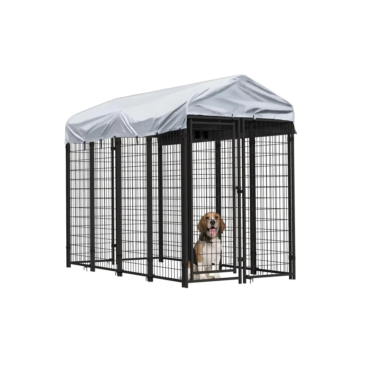 dog crates for sale