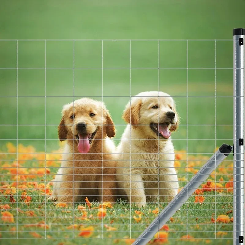 metal pasture fence