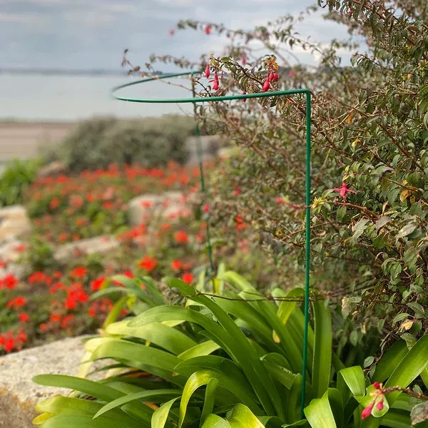 Innovative Plant Support Stand Technologies for Modern Gardens