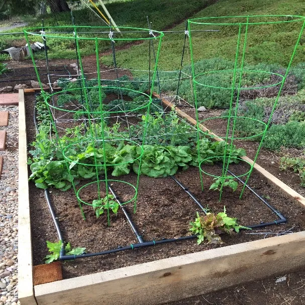 lawn edging fence