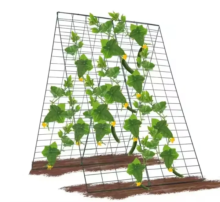 Arch Trellis For Climbing Plants